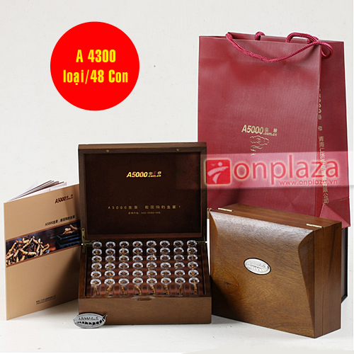 dong-trung-ha-thao-4300-1