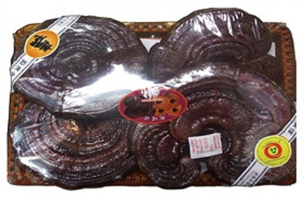 Nấm Linh chi đỏ dạng khay Hàn Quốc