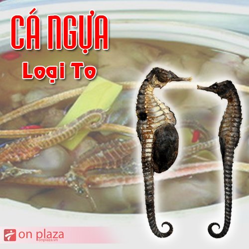 Cá ngựa khô loại to 45 triệu/kg