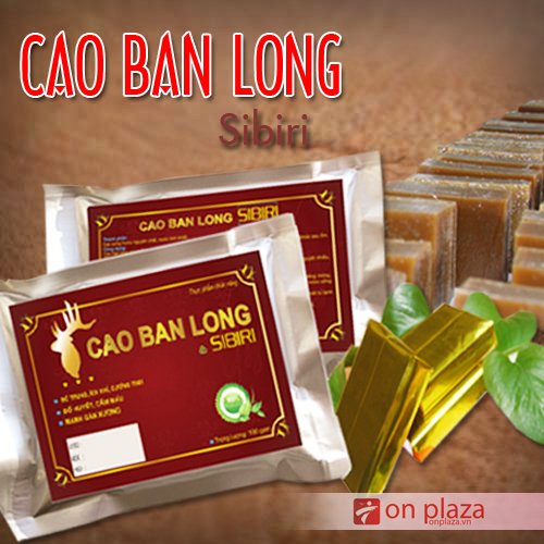 Cao ban long Sibiri loại gói 100g