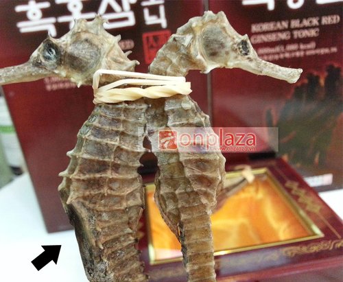 Cá ngựa khô loại nhỏ 220k/ cặp