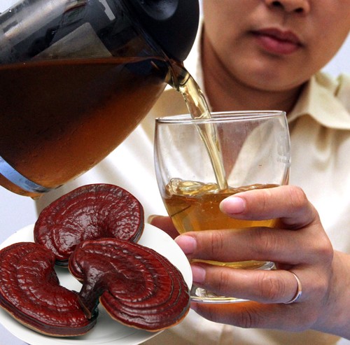 Nam-linh-chi-co-the-uong-hang-ngay