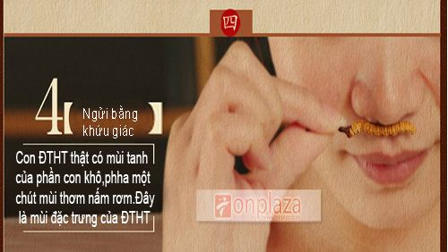 dong-trung-ha-thao-nguyen-con-loai-cao-cap-20g-6
