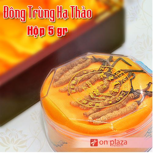 dong-trung-ha-thao-nguyen-con-loai-dac-biet-cao-cap-5g-1