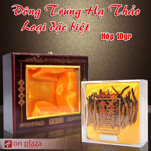Đông trùng hạ thảo nguyên con loại đặc biệt 10g