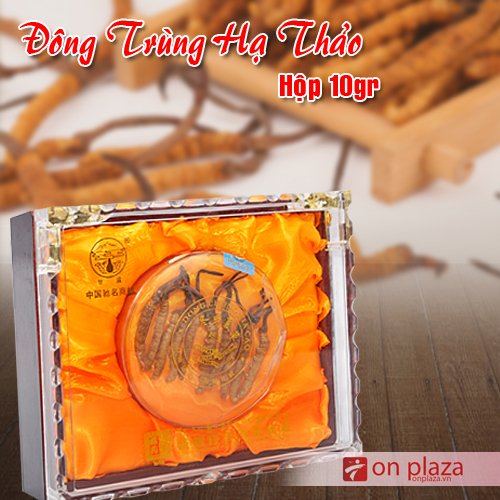 Đông trùng hạ thảo nguyên con 10g loại nhỏ