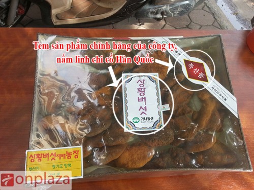 nam-linh-chi-co-02