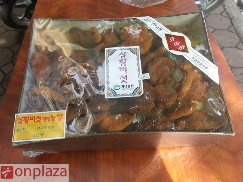 nam-linh-chi-co-03 (1)