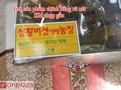 nam-linh-chi-co-05