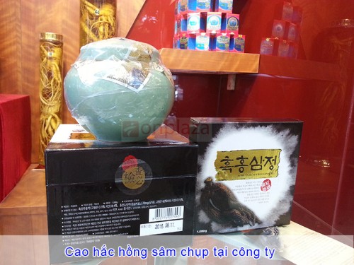 cao-hac-hong-sam-hop-xanh