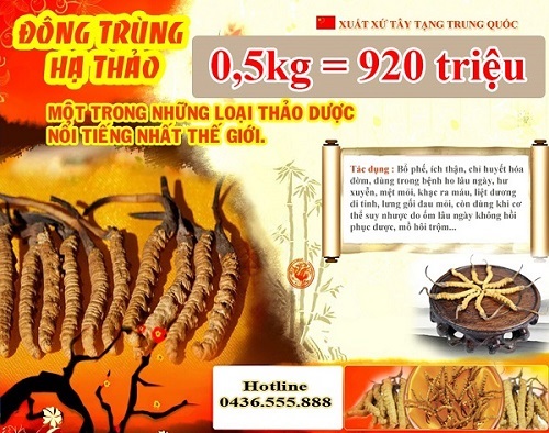 Đông trùng hạ thảo cao cấp loại 0,5kg