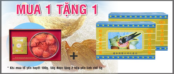 to-yen-huyet