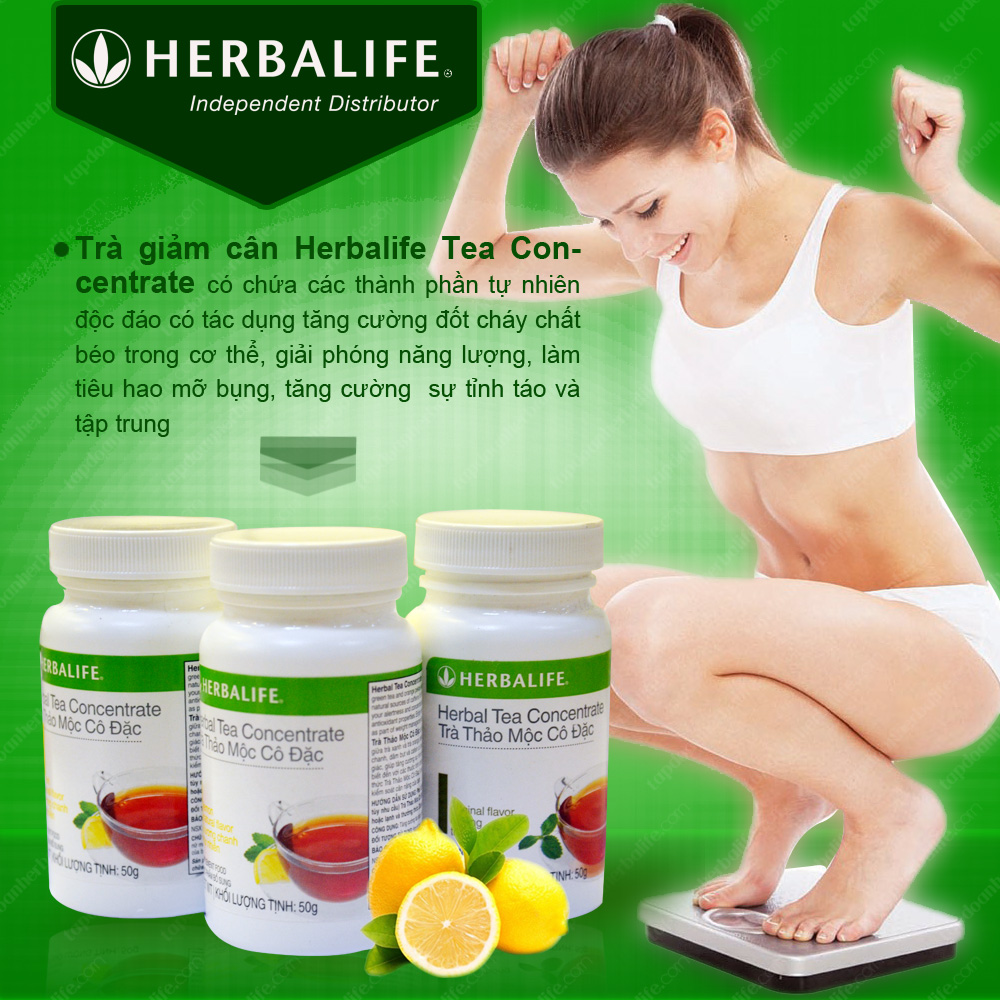 Trà thảo mộc cô đặc giảm cân Herbalife Tea Concentrate 1